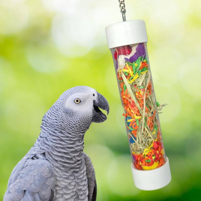 Foraging Tube