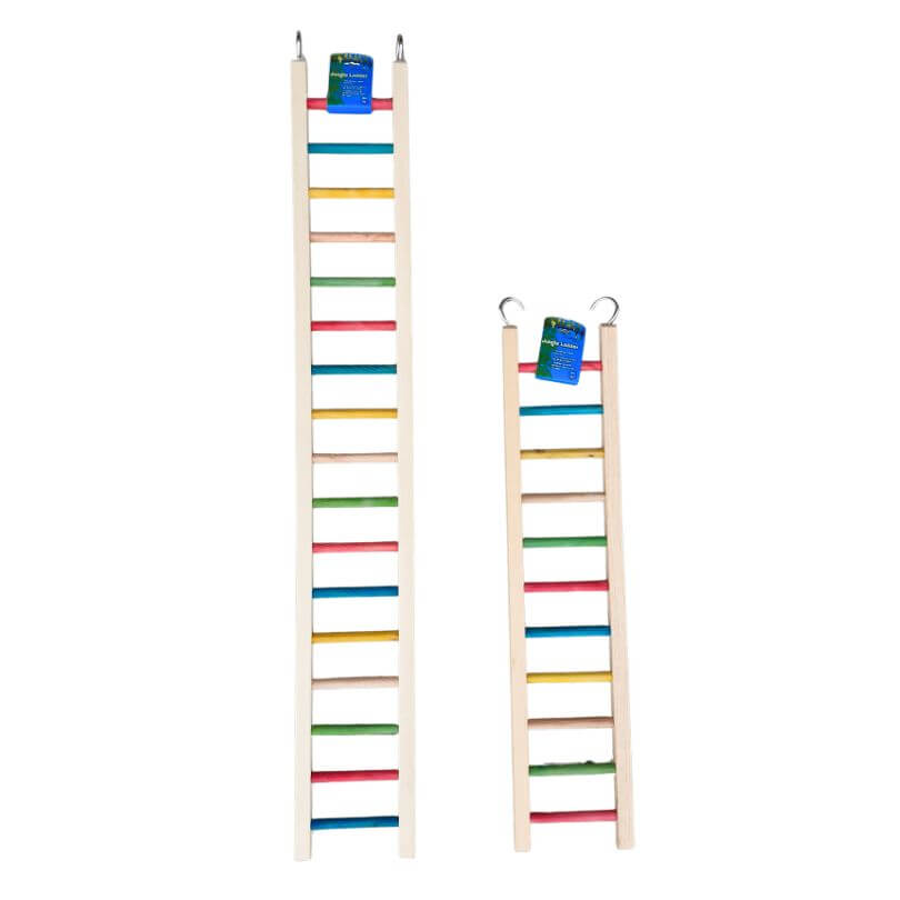 Giant Jungle Ladders