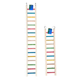 Giant Jungle Ladders