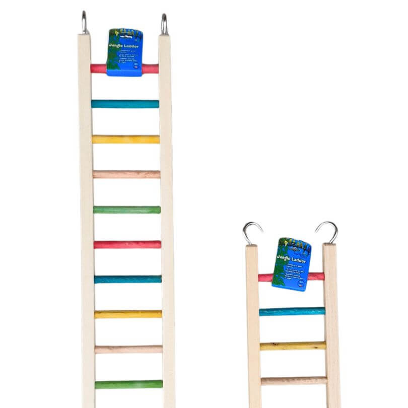 Giant Jungle Ladders