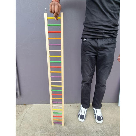 Giant Rainbow Ladders
