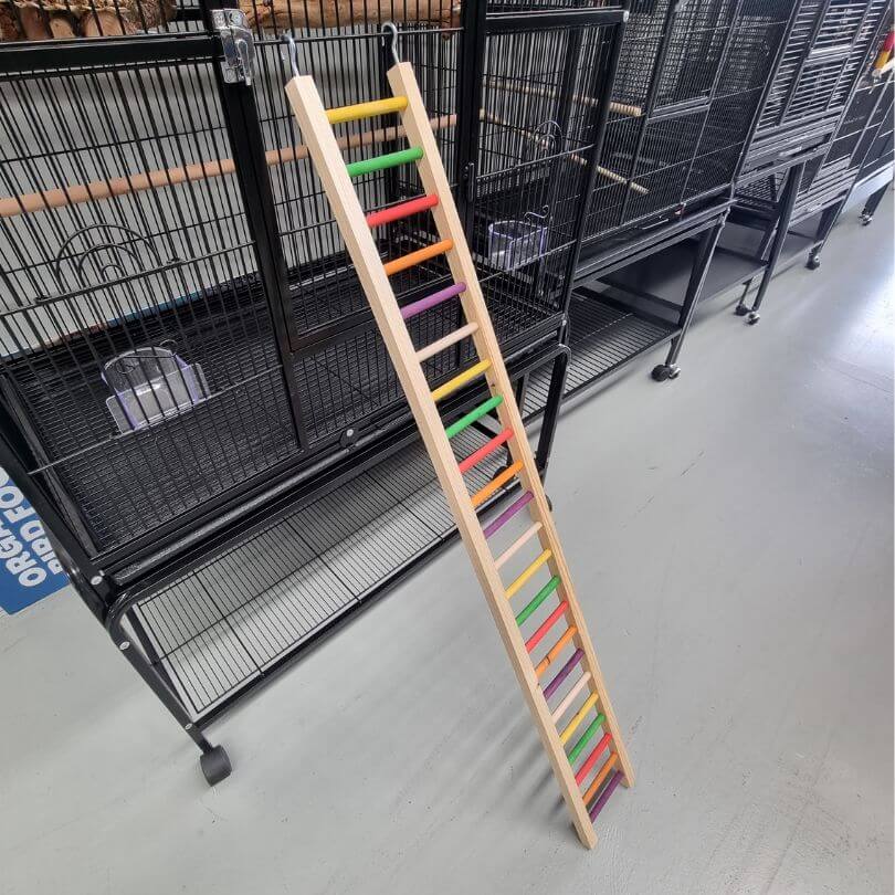Giant Rainbow Ladders