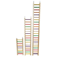 Thumbnail for Giant Rainbow Ladders