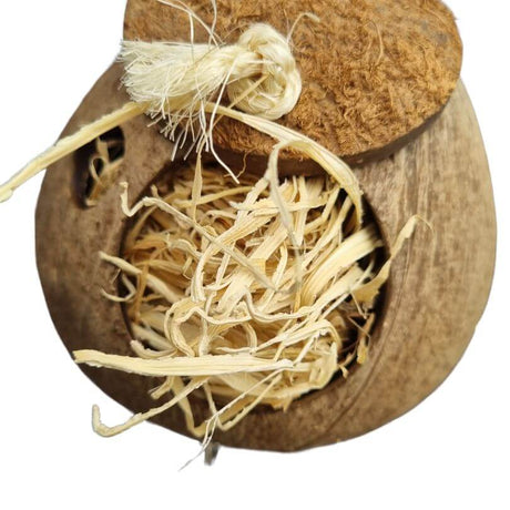 Go Nuts Forager
