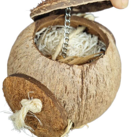 Go Nuts Forager