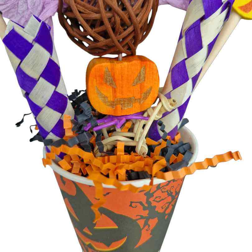 Close-up of the Halloween Parrot Treat Cup filled with shreddable paper and wooden pieces