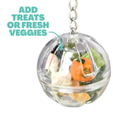 Hanging Foraging Party Ball