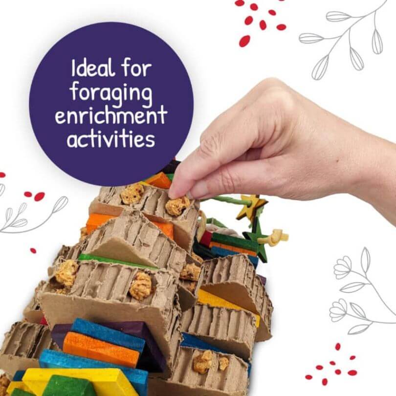 Hari Little Foragers Chili Snaps 125g