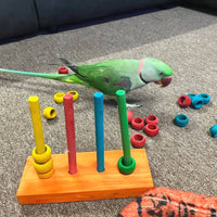 Thumbnail for Interactive Parrot Stacking Puzzle