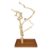Java Floorstand Play Gym 266