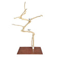Java Floorstand Play Gym 764, java wood parrot play stand on castor wheels with food bowls