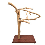 Java Floorstand Play Gym 847