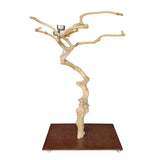 Java Floorstand Play Gym 848