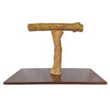 Java Parrot T Stand