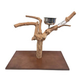 Java Tabletop Play Gym - 663