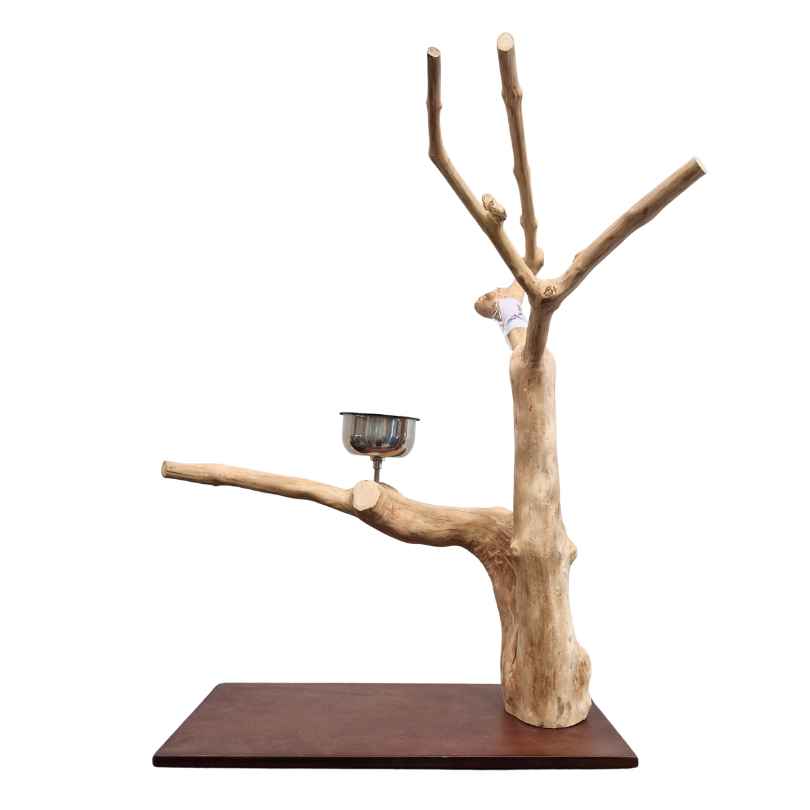 Java Tabletop Play Gym 824