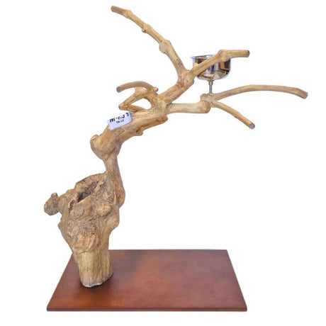 Java Tabletop Play Gym 833, java wood tabletop parrot play stand with a food bowl and toy hook