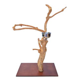 Java Tabletop Play Gym 837, java wood tabletop parrot play stand with a food bowl and toy hook