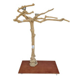 Java Floorstand Play Gym 844