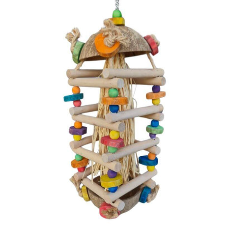 Jellyfish Climb and Shred