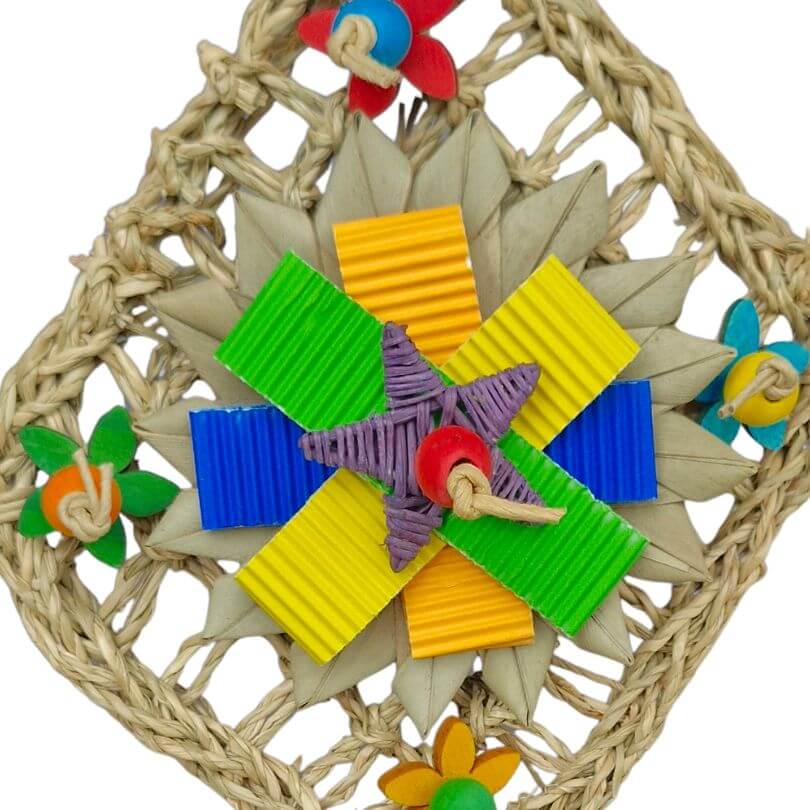 Kite Shred and Play