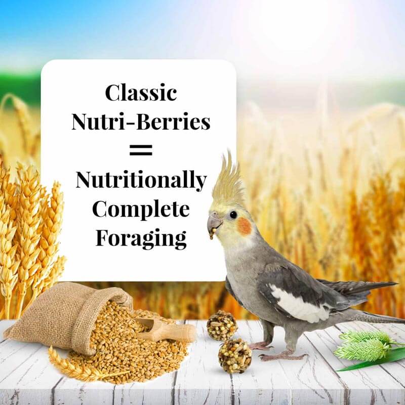 Lafeber Classic Nutri-Berries Cockatiel