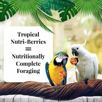 Thumbnail for Lafeber Tropical Nutri-Berries Macaw and Cockatoo