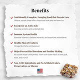 Lafeber Avi-Cakes Fruit Delight - Parrot 226g