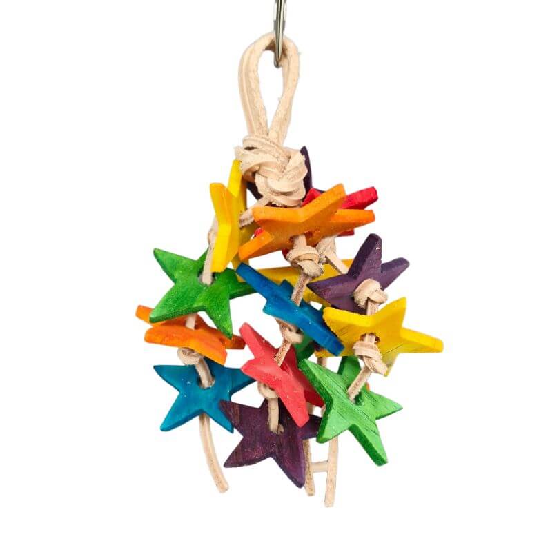 Leather Star Nibble