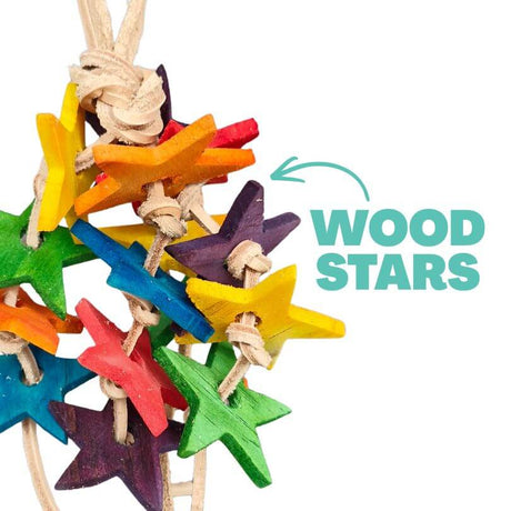 Leather Star Nibble