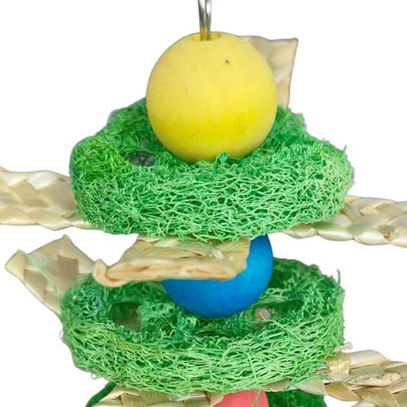Loofa Tree Nibble