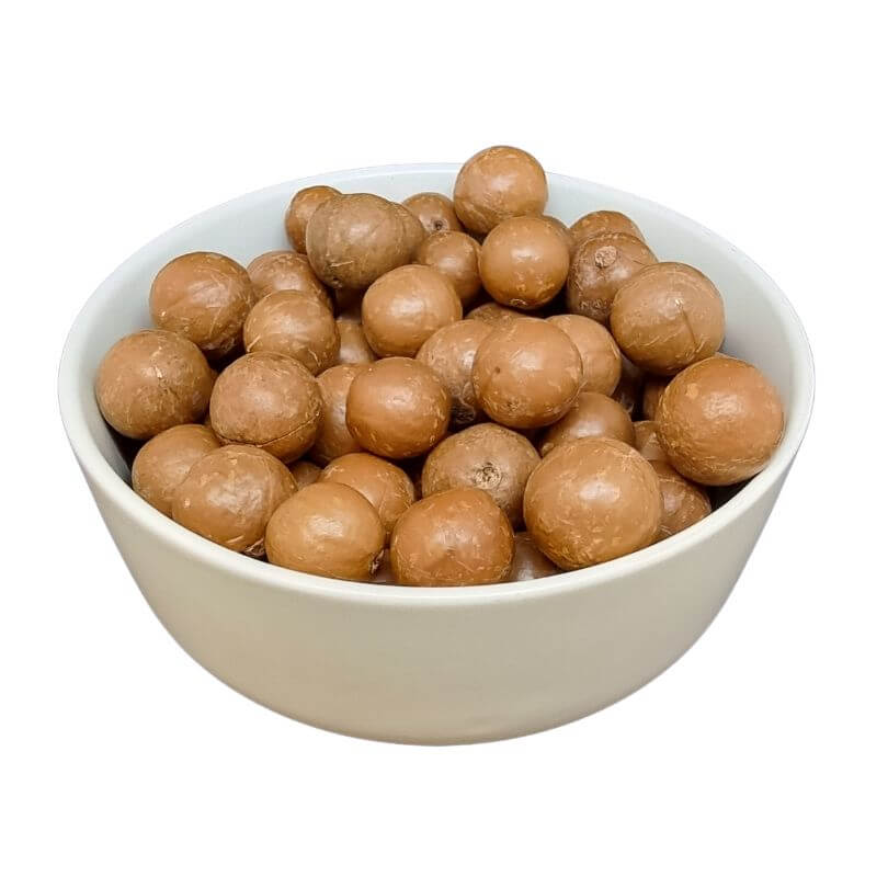Macadamia Nut in Shell