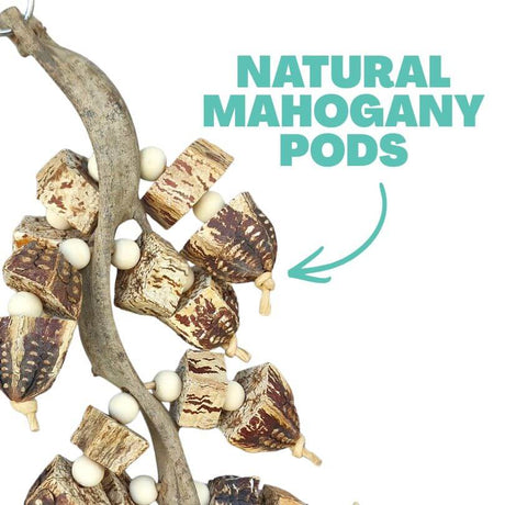 Mahogany Harvest Dangle