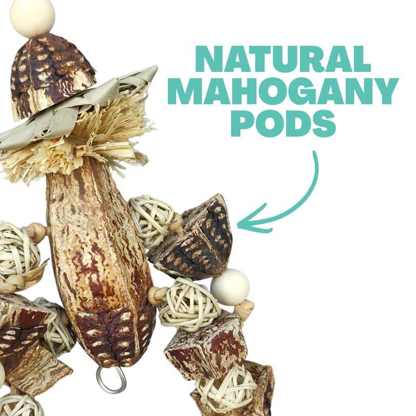 Mahogany Man Chew