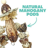 Mahogany Man Chew