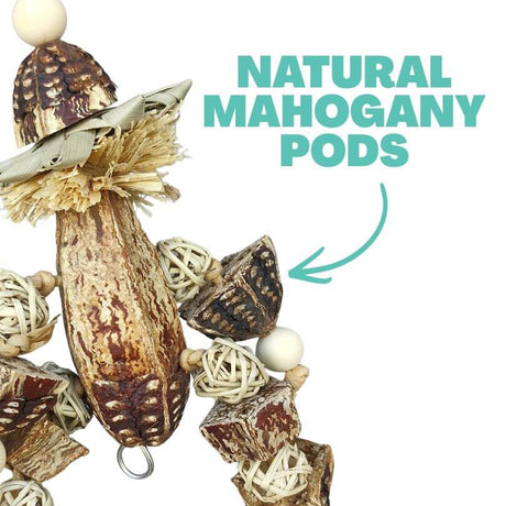 Mahogany Man Chew