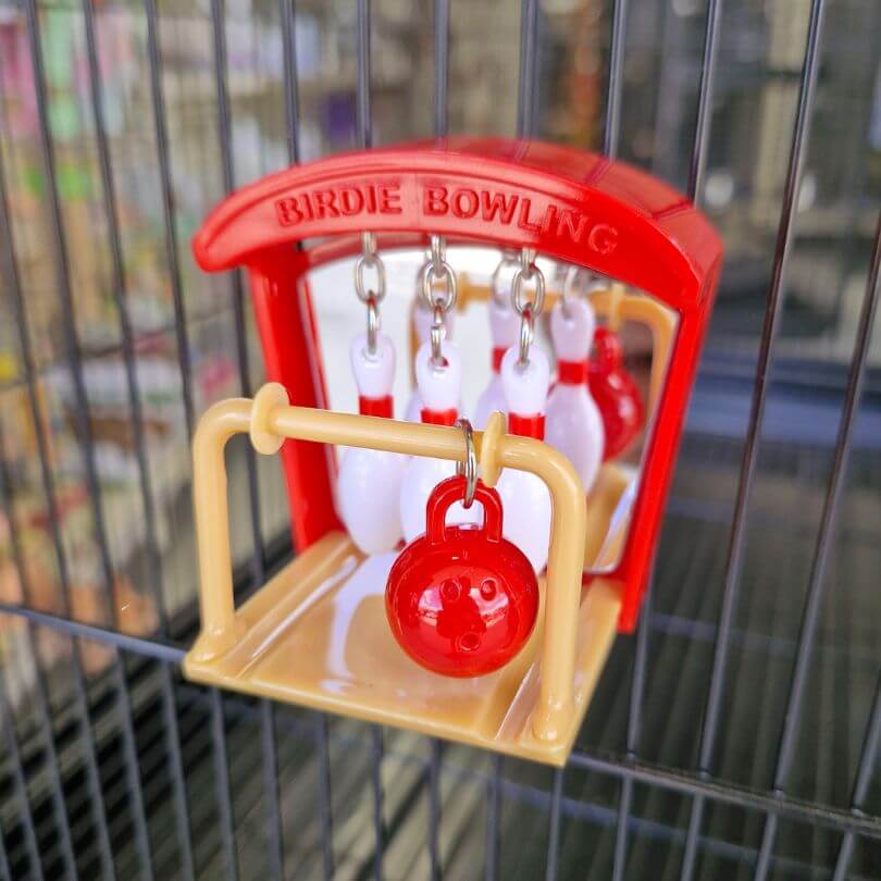 Mini Bird Bowling
