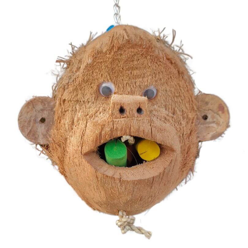 Mr and Miss Monkey