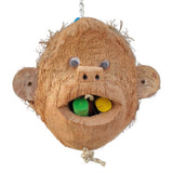 Mr and Miss Monkey