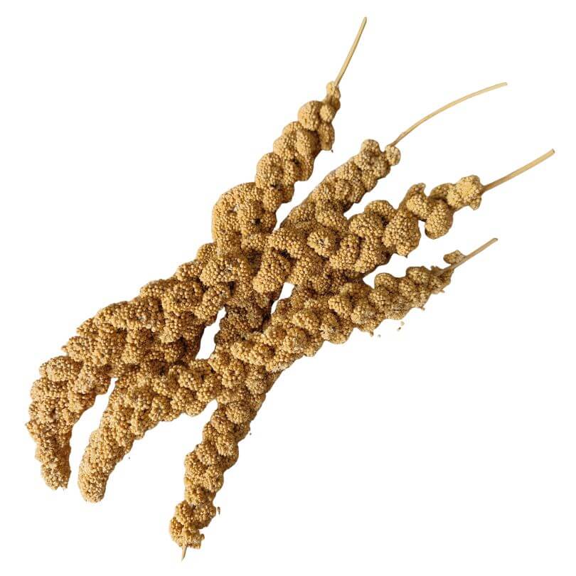 Murphys Panorama Millet Sprays 500g