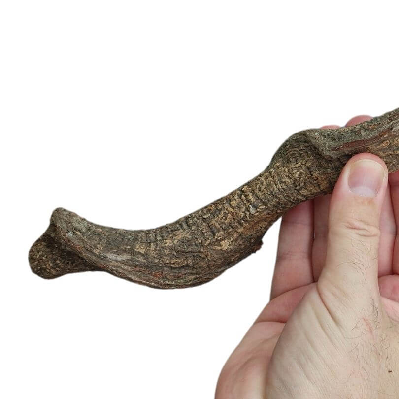 Natural Vine Perch