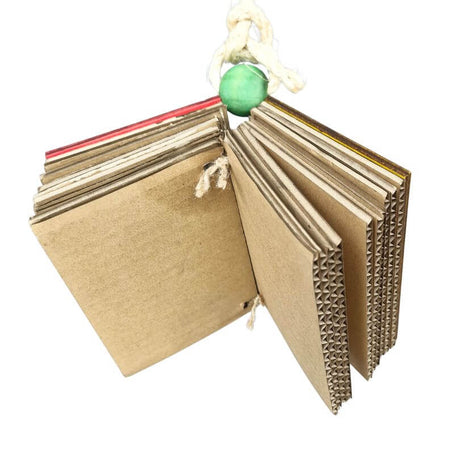 Naughty Bird Chew Book