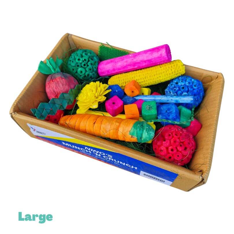Ninos Munch N Crunch Forage Box