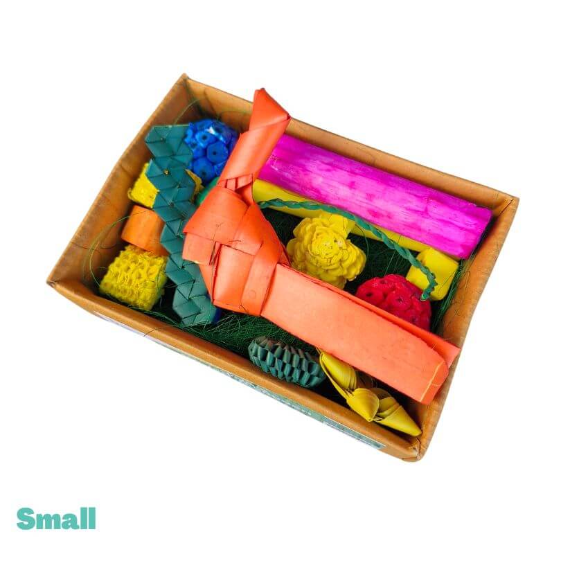 Ninos Munch N Crunch Forage Box