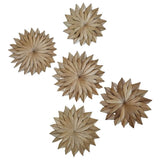 Palm Stars 5pk