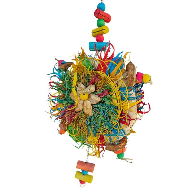 Parrot Pizza Plate