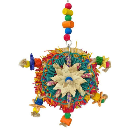 Parrot Pizza Plate