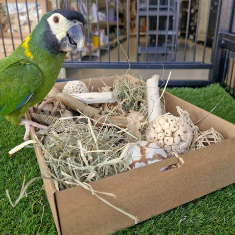 Parrot Naturals Forage Box