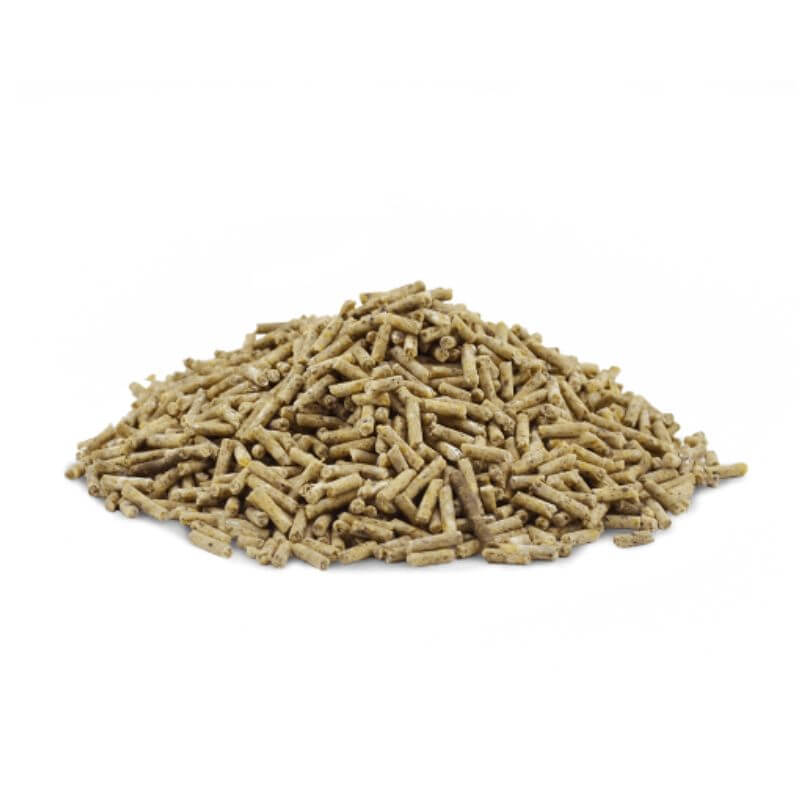 Peckish Lorikeet Pellet Blueberry 2kg