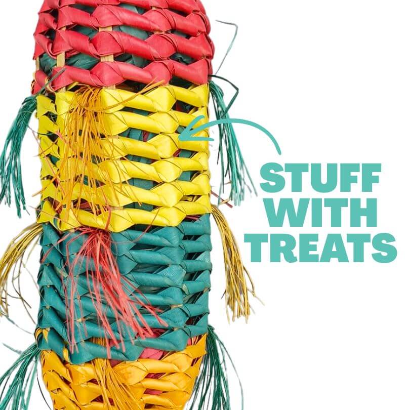 Pinata Melon Forager